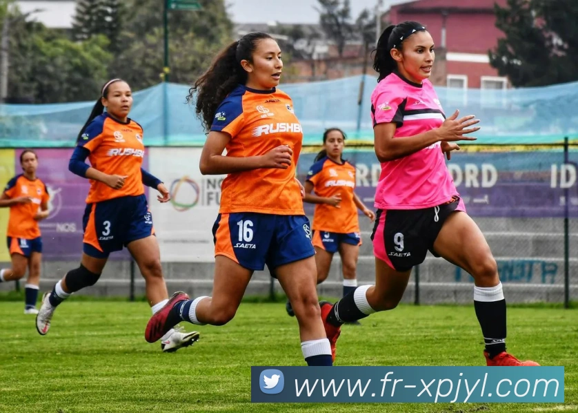 新葡京娱乐APP 封面图